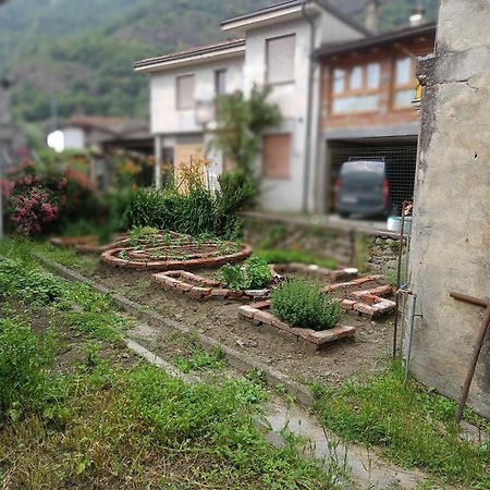 DonnazLou Rose别墅 外观 照片